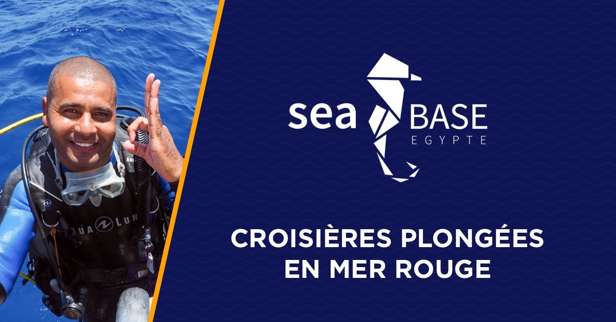 Croisière Saint John’s - SEA BASE